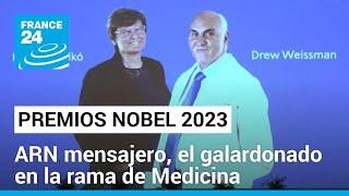 Premio Nobel de Medicina 2023: Katalin Karikó, Drew Weissman y el ARN mensajero obtienen el galardón