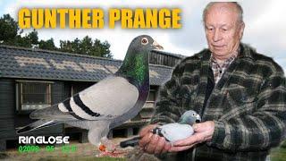 The Master Breeder and 7x GOLDEN DUIF Winner From Germany - GUNTHER PRANGE