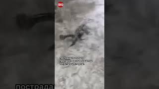 В Санкт-Петербурге рухнул беспилотник на территории завода «Невский мазут»