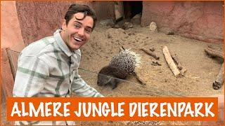 Stekelvarkens voeren in de jungle! | DierenpraatTV