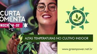 O que fazer para proteger o cultivo indoor grow de altas temperaturas