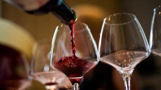 Achieving success in the wine industry