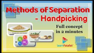 Class 6 Science Separation of Substances - Handpicking - Methods of Separation | LearnFatafat