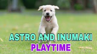 INUMAKI AND ASTRO PLAYING | YSELLE GAGARIN