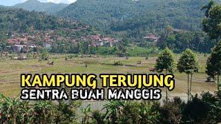 Pedesaan Sunda Jabar, Kampung Terujung Sentra Buah Manggis di Sumedang