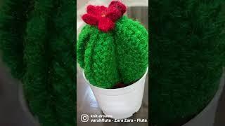 Handmade cactus 
