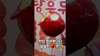 홍대역 - 경주십원빵(삐약아 어디가 지하철근처맛집)