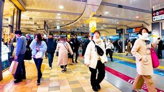 Tokyo Shinagawa Giant Station   4k non -stop 1 hour 02 minutes