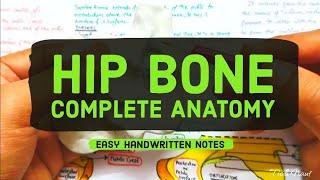 HIP BONE - COMPLETE ANATOMY