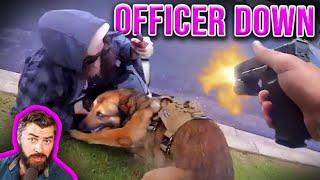Meth Head STABS Police Dog And Pays The Price!
