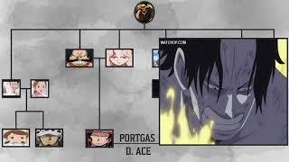 ONE PIECE D FAMILY TREE - Including Rocks D. Xebec!!