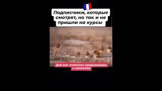 Хотите вы изучать французский или нет?