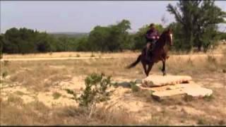 America's Favorite Trail Horse Promo