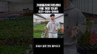 가평플라워가든센터 봄 개장 안내드립니다