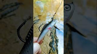 How to properly set up fishing lure #fishing #lure #lurefishing #tips