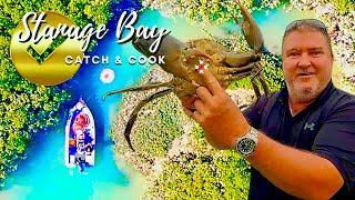 The Biggest Mud Crabs in Australia!Stanage Bay Mud Crab Catch & Cook!