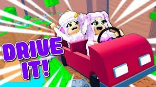 DRIVE IT 2 Player OBBY With My SISTER! (Roblox)