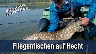 Fliegenfischen auf Hecht mit Rudi Heger - inkl. LIVE BISSE und GROSSHECHT - Tipps & Ausrüstung