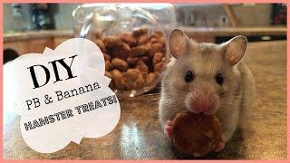 DIY Banana & PB Hamster Treats