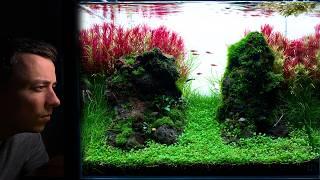 I MADE A NEW ''MOSS DRYSTART'' AQUASCAPE - Step by Step Tutorial