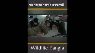 ১০০ বছরের বরফের ভিতর জিবিত মেয়ে #wildlife bangla