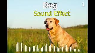 Dog Sound Effect