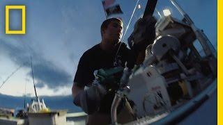 Catch of the Week - Hat Trick for Hard Merch | Wicked Tuna