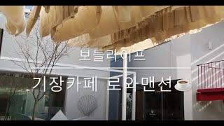 [보들라이프] 힐링되는 기장 일광 카페 로와맨션