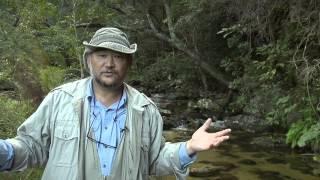 Forest Keep Drylands Working - Short Film by John D. Liu
