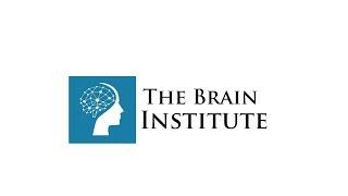 Research Highlights at the Brain Institute