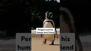 A penguin and his best friend #animals #wholesome #penguin