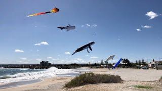 A reason to visit Geraldton, Western Australia