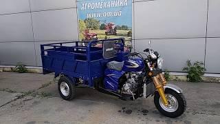 ГРУЗОВОЙ МОТОЦИКЛ MOTOLEADER ML 250 HERCULES ~ Купить в Украине