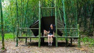 Solo Bushcraft, Exploring the Bamboo Forest - Efforts to Build a Shelter, Part 1