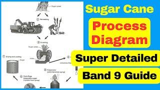 How to Describe a Process Diagram [IELTS Writing Task 1 Band 9 Guide]