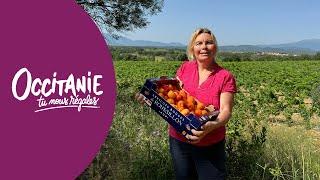  Rencontre avec Christine, productrice d’abricots à Trouillas (66)