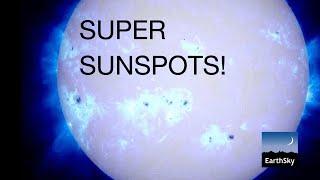 Sun News of the Week: Was August the Peak of Solar Cycle 25?