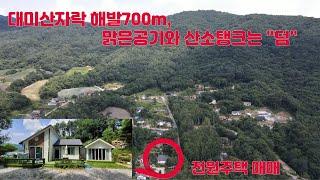 대미산자락 해발700m, 자작나무골 맑은공기와 산소탱크는 덤, 전원주택매매.Video f68521f0 f37c 49e6 9539 a4ede3d48d2a