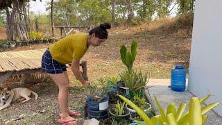 สงกานต์ปีใด ต้องเกิดเรื่องแบบนี้ตามมา