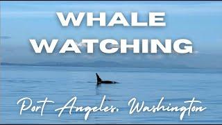 Whale Watching In Port Angeles, Washington | Puget Sounds Express