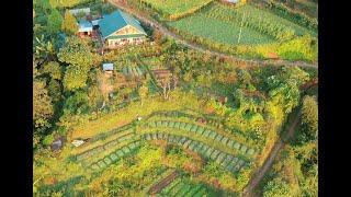 Almost Heaven Farms - Permaculture in Nepal