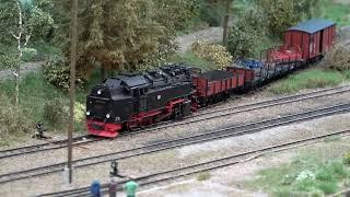 Bahnhof Hasselfelde - Die wunderschöne Diorama Modelleisenbahn Anlage in Spur H0