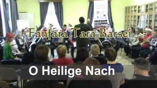 Fanfara Tara Barsei   O heilige nacht.wmv