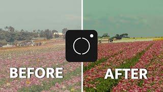 Uploading LUTs to your phone!