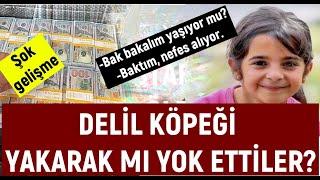 NARİN CİNAYETİNDEKİ DELİL KÖPEK YAKILDI MI?