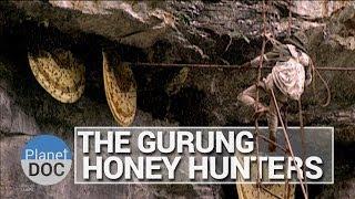 The Gurung Honey Hunters | Culture - Planet Doc Full Documentaries