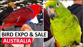 BIRD PRICES-PARROTS, FINCHES, CANARIES/ Fairfield #australia  #parrot  #birds #cockatoo #cockateil