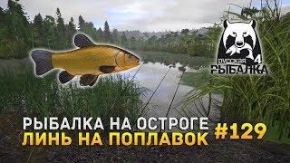 Рыбалка на Остроге. Линь на поплавок - Русская Рыбалка 4 #129