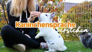 Kaninchensprache verstehen | Teil 1