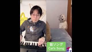 Pianist accompanies 'Cat's Song'.